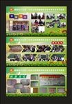 学生活动绿色展板
