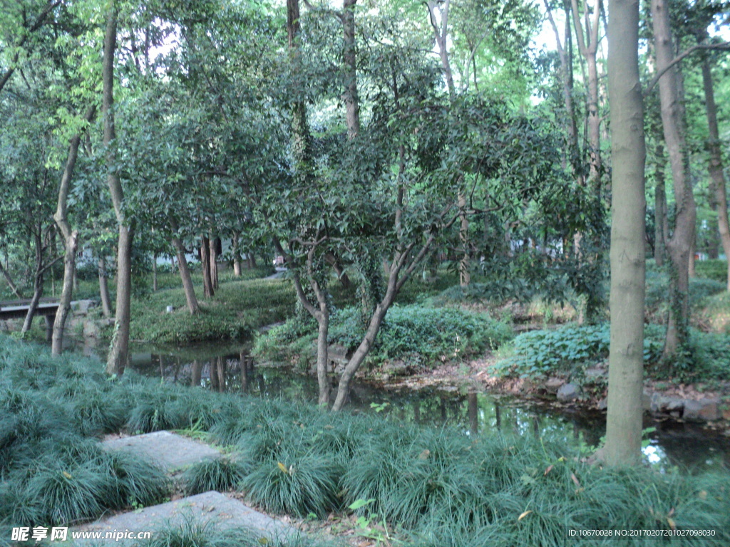 公园风景