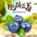 蓝莓水果海报