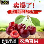 车厘子水果海报