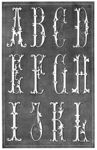 字母花纹