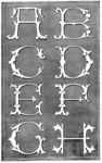 字母花纹
