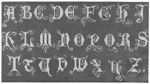 字母底纹