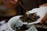 普洱茶摄影