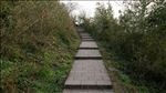 南岳衡山小道路上