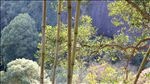 南岳衡山风光