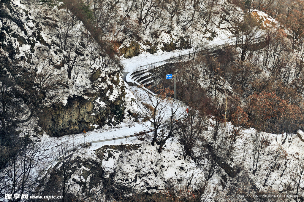 冬雪山林