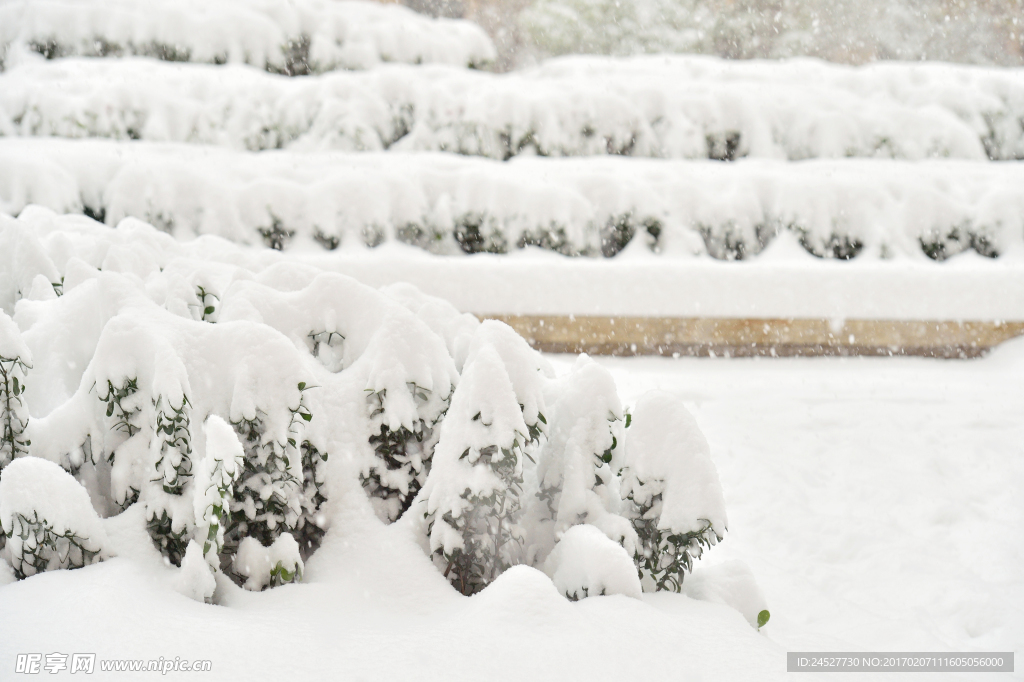 雪天