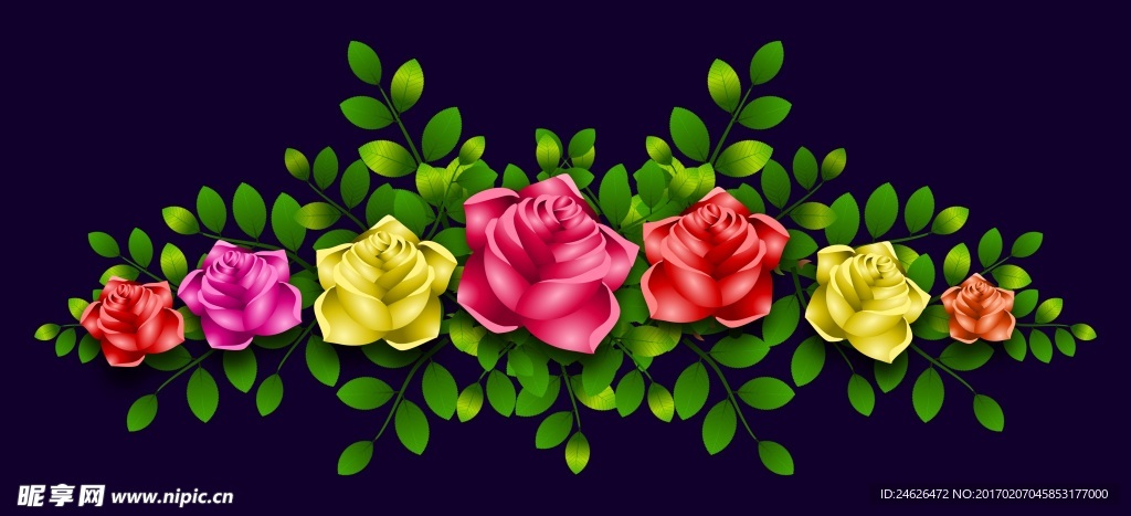 玫瑰 鲜花 花卉