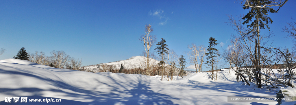 中国东北雪景