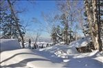 中国东北雪景