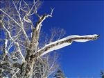 中国东北雪景