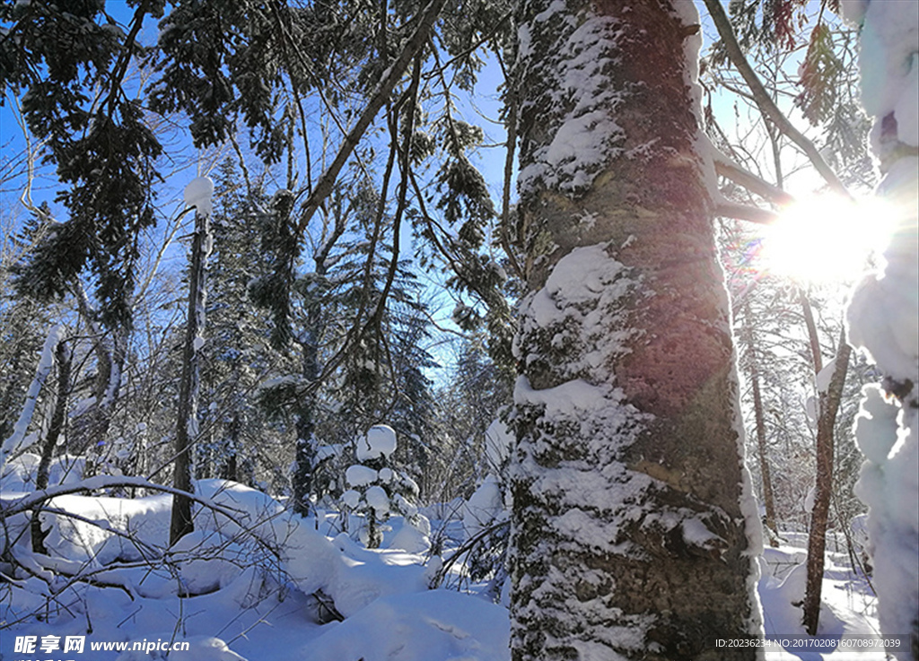 中国东北雪景