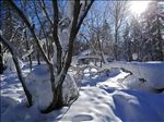 中国东北雪景