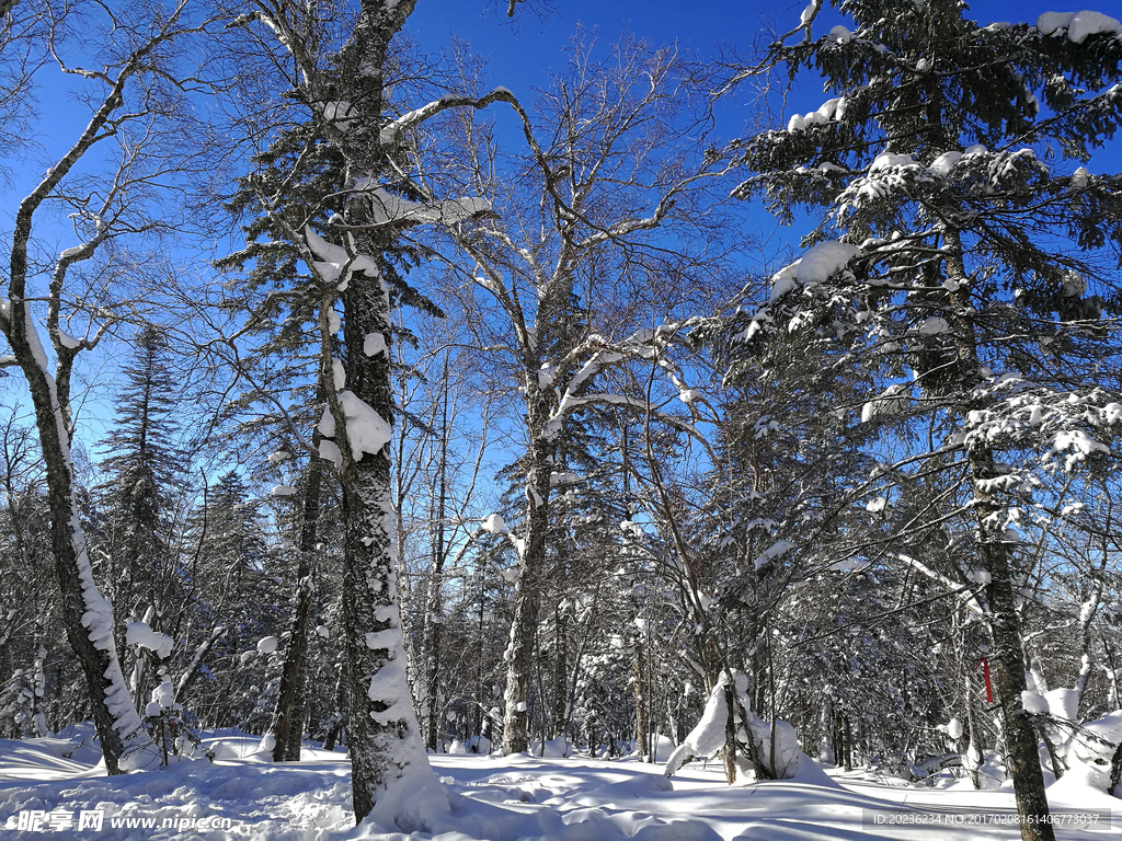 中国东北雪景