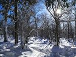 中国东北雪景