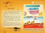 中国邮政宣传单
