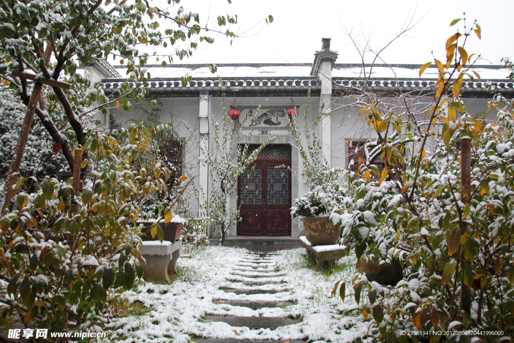 雪景