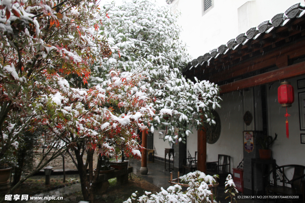 雪景