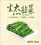 生态韭菜