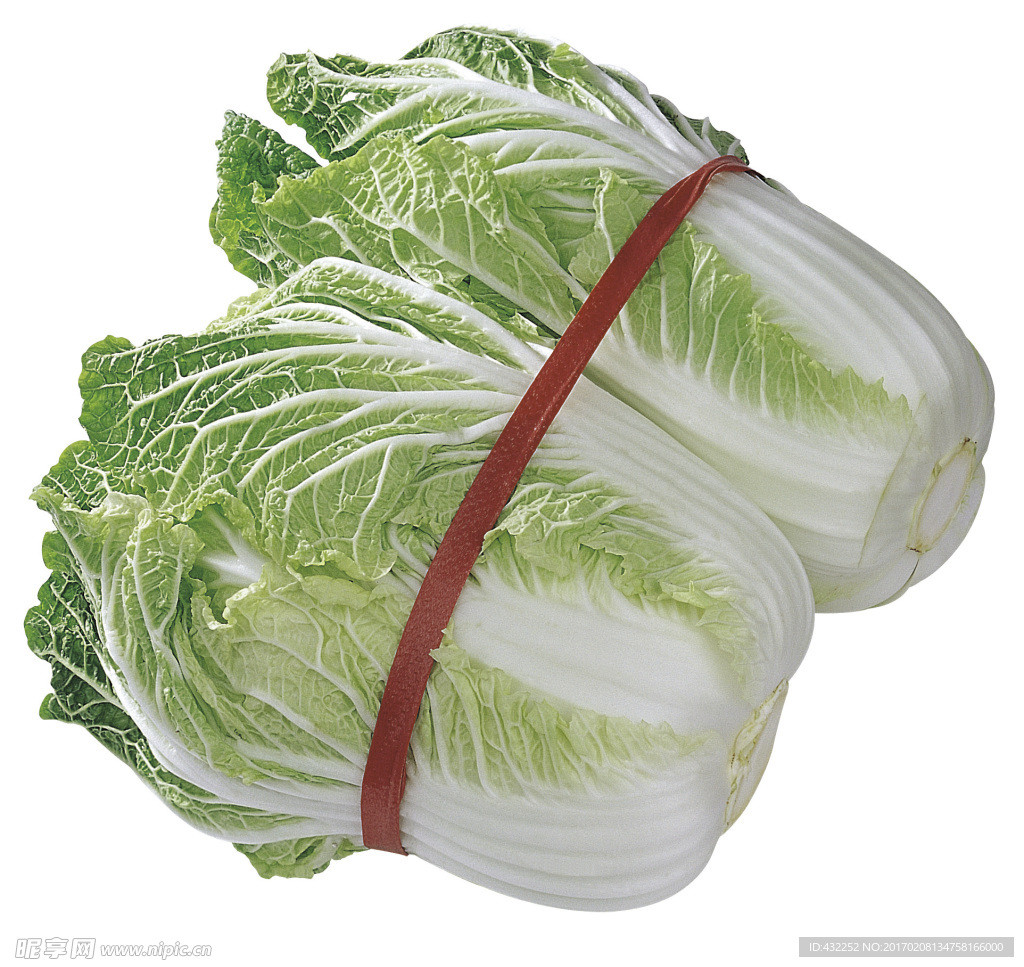 大白次