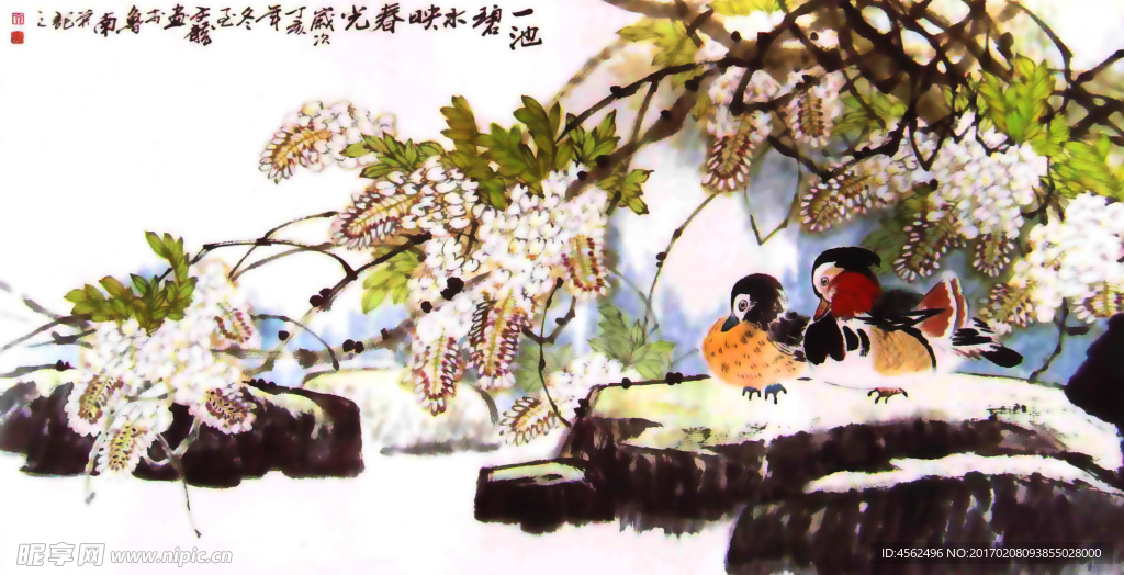 鸳鸯国画