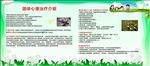 团体心理治疗介绍