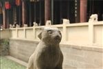 石像
