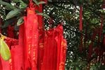 福带