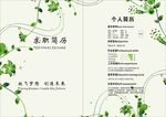 绿色简历
