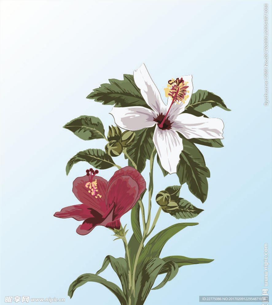 花