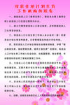 计划生育工作职责