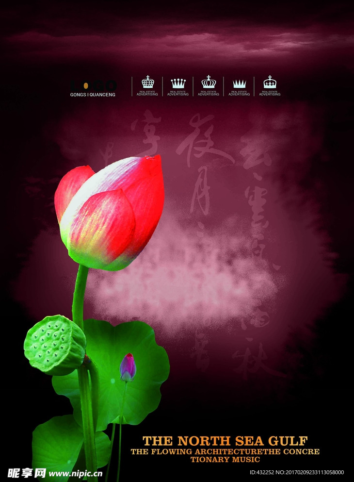 荷花