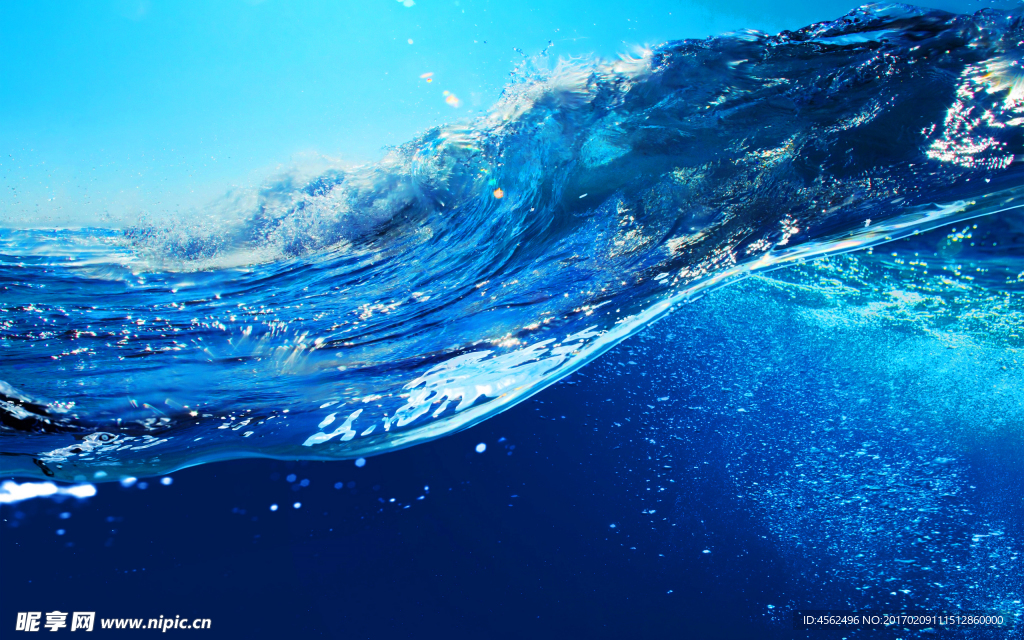 海