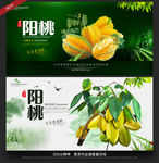 阳桃