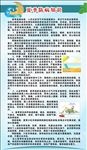 夏季防病知识
