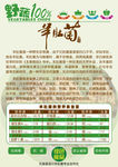 羊肚菌介绍活动广告素材