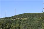 山