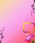相框 相册 粉色背景 花色背景