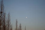 黄昏