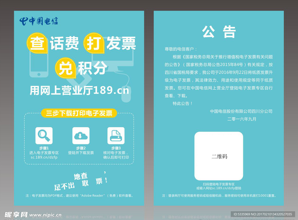 电信电子发票DM