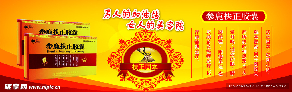 药品  DM单  彩页