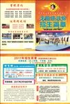 武馆宣传单