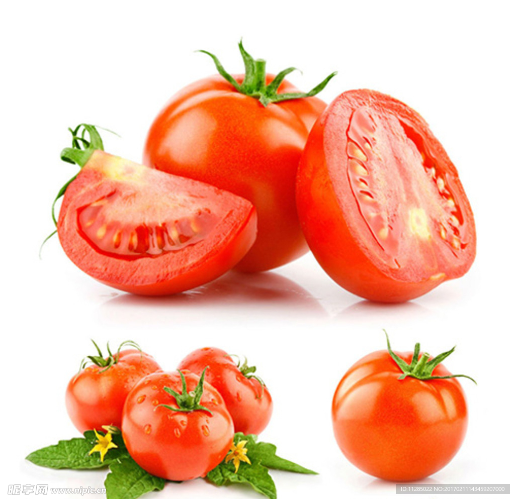 番茄高清素材