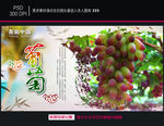 葡萄海报