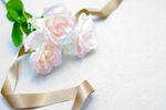 薔薇玫瑰花