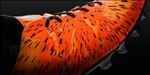 ADIDAS顶级足球鞋宣传广告