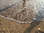 海滩