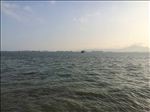 大海