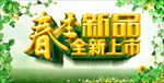 春季新品